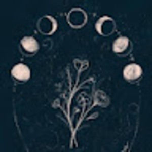 Meet your Posher, Elisabeth